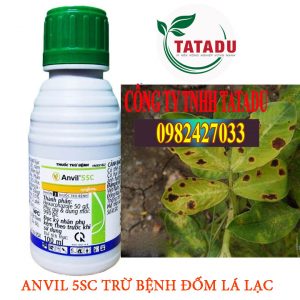 ANVIL-TRU-DOM-LA-LAC-300x300-1