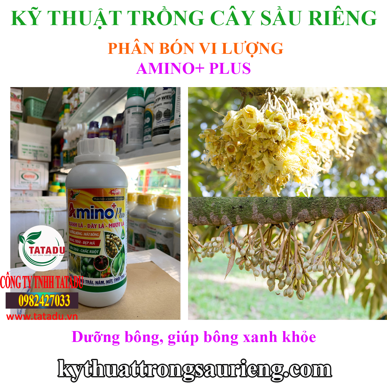 AMINO + PLUS