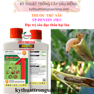 TP-PENTIN 15EC – HIỆU RỆP SÁP 068