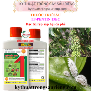 TP-PENTIN 15EC – HIỆU RỆP SÁP 068