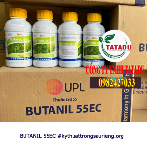 buta kttsr