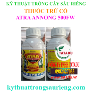 ATRA ANNONG 500FW